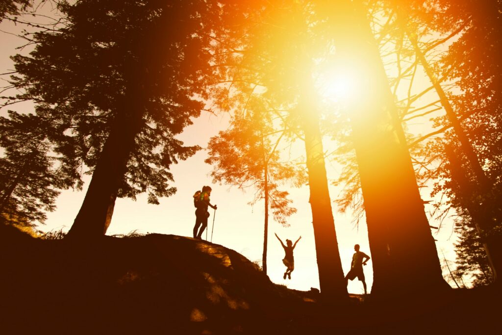 A Family Hiking In The Woods With The Sun Shinning